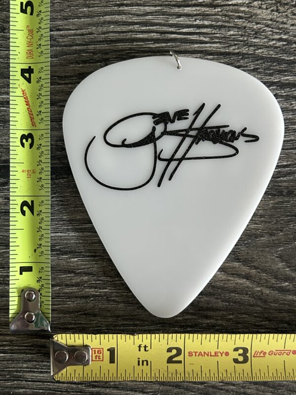 KISS Guitar Pick Oversize Gene Simmons Glitter Logo 4x4 Vintage Kiss Memorabilia