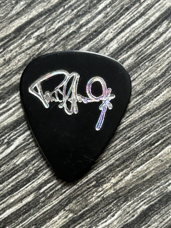 KISS Guitar Pick PAUL STANLEY Alive Worldwide Reunion Black Silver C Vintage