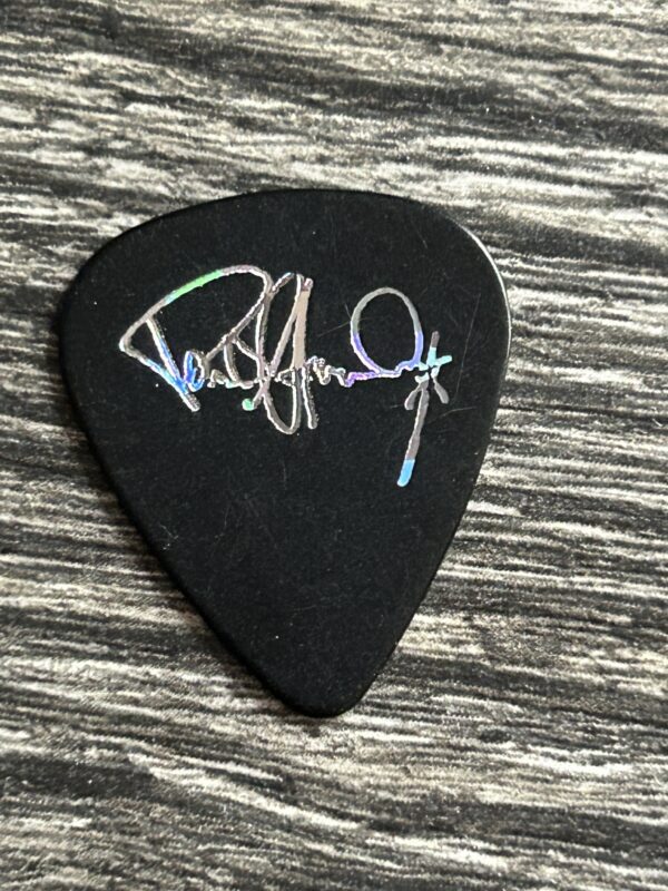 KISS Guitar Pick PAUL STANLEY Alive Worldwide Reunion Black Silver D Vintage